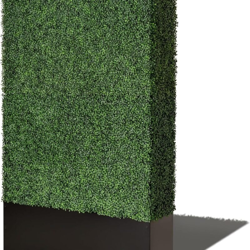 4x8 Hedge Wall